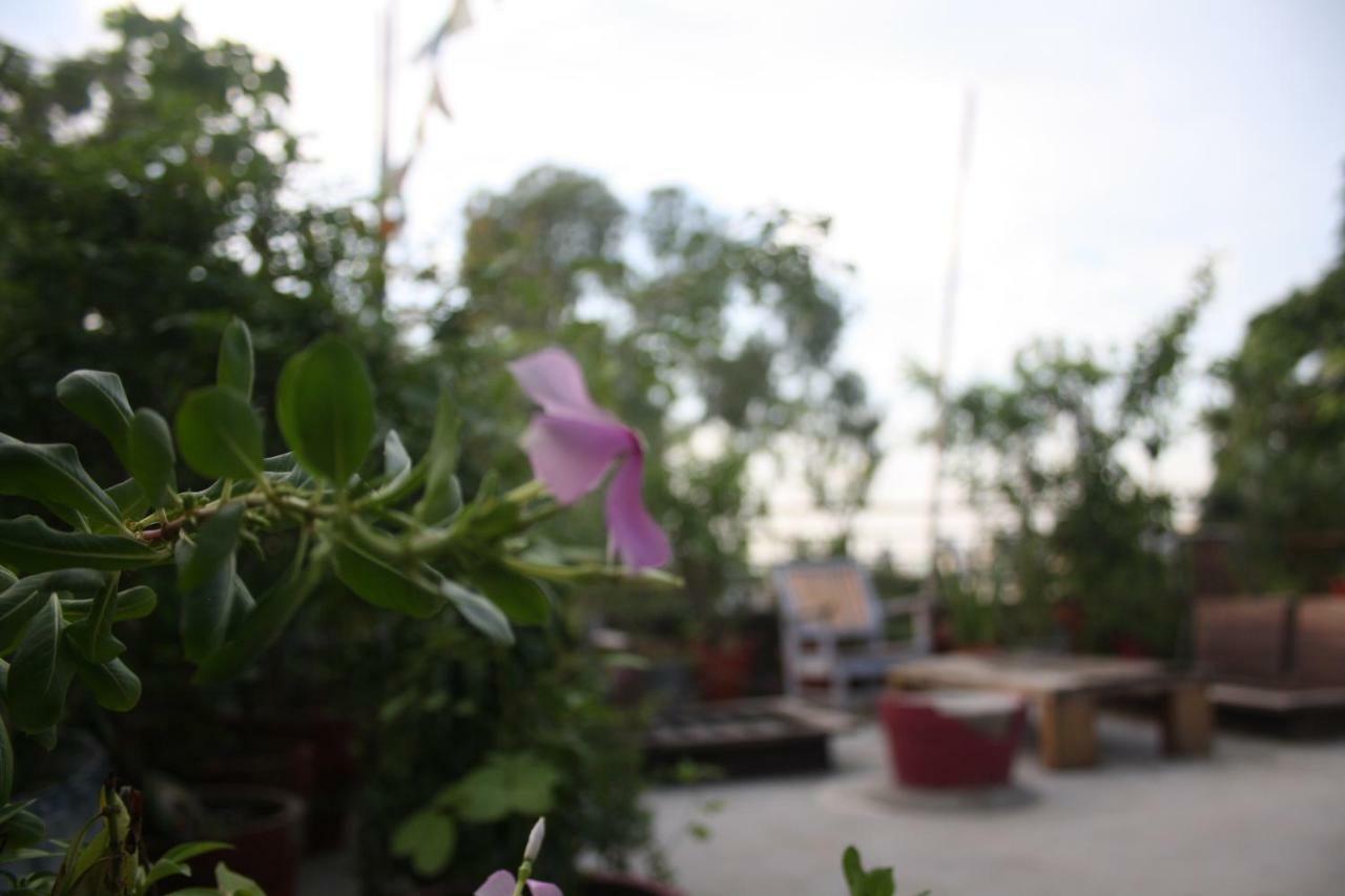 Bed & Chai Guesthouse New Delhi Exterior foto